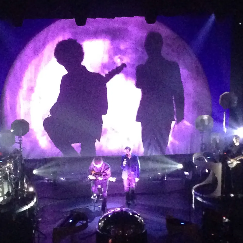 lactone.bsky.social's profile picture