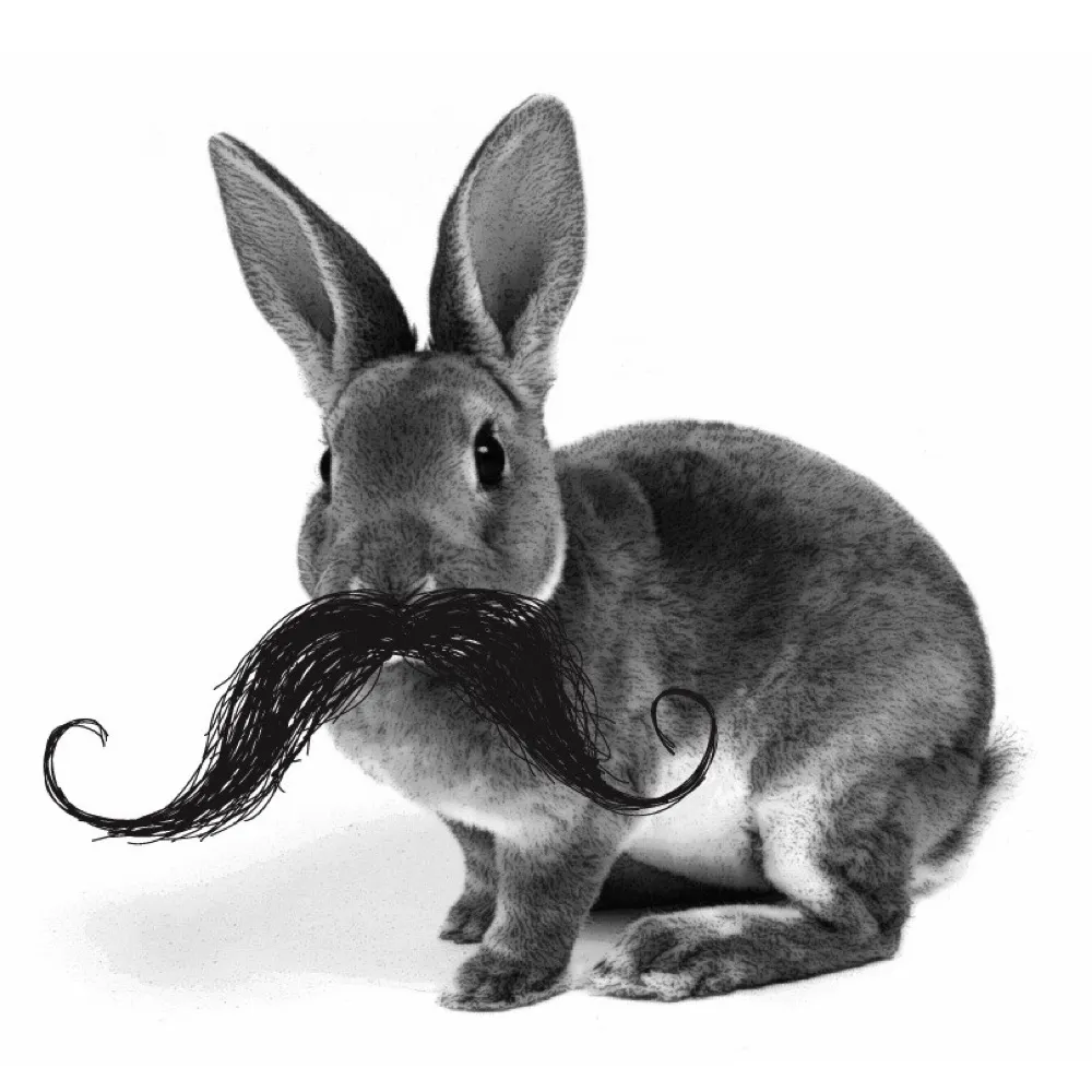 nightmoves69.bsky.social's profile picture