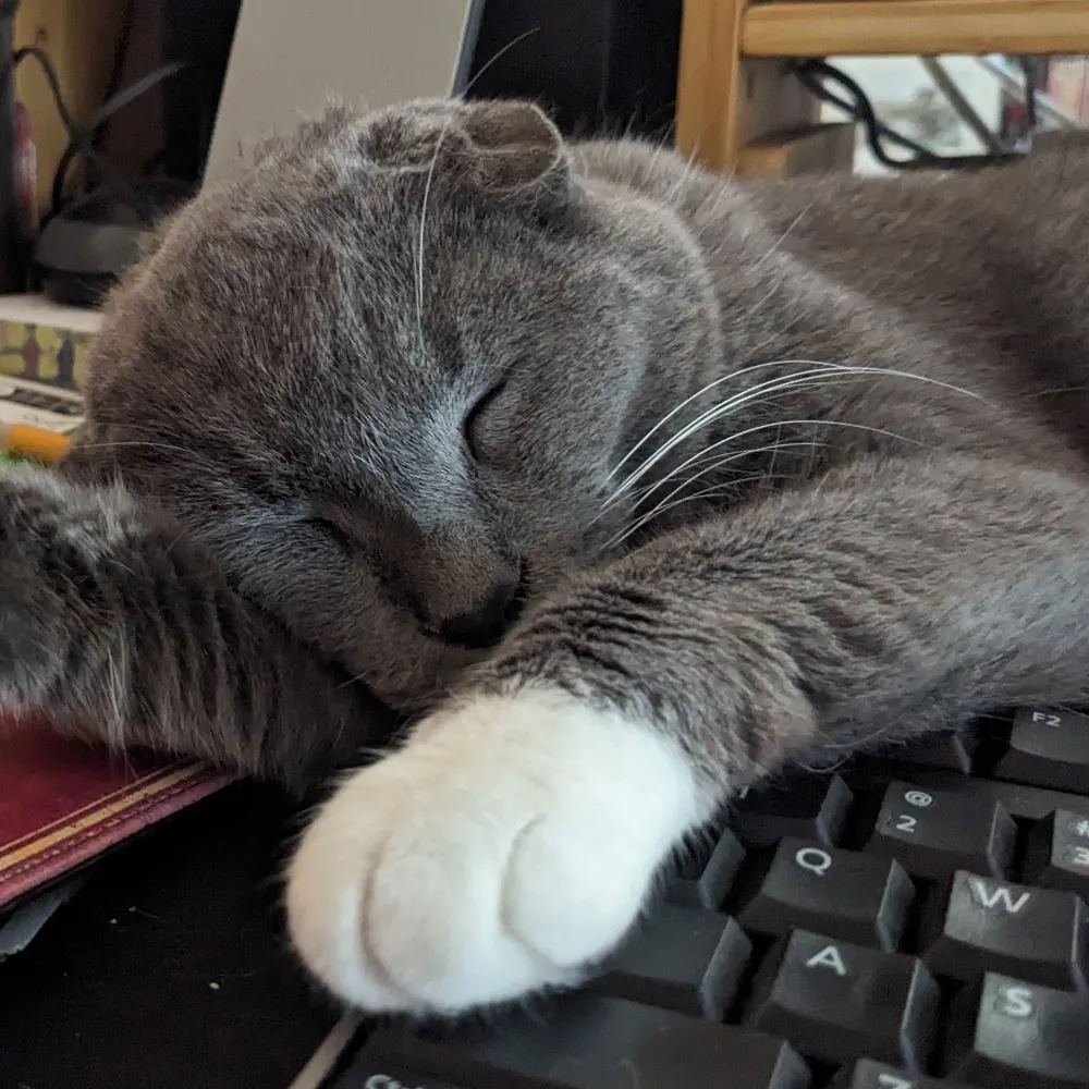 neonperri.bsky.social's profile picture