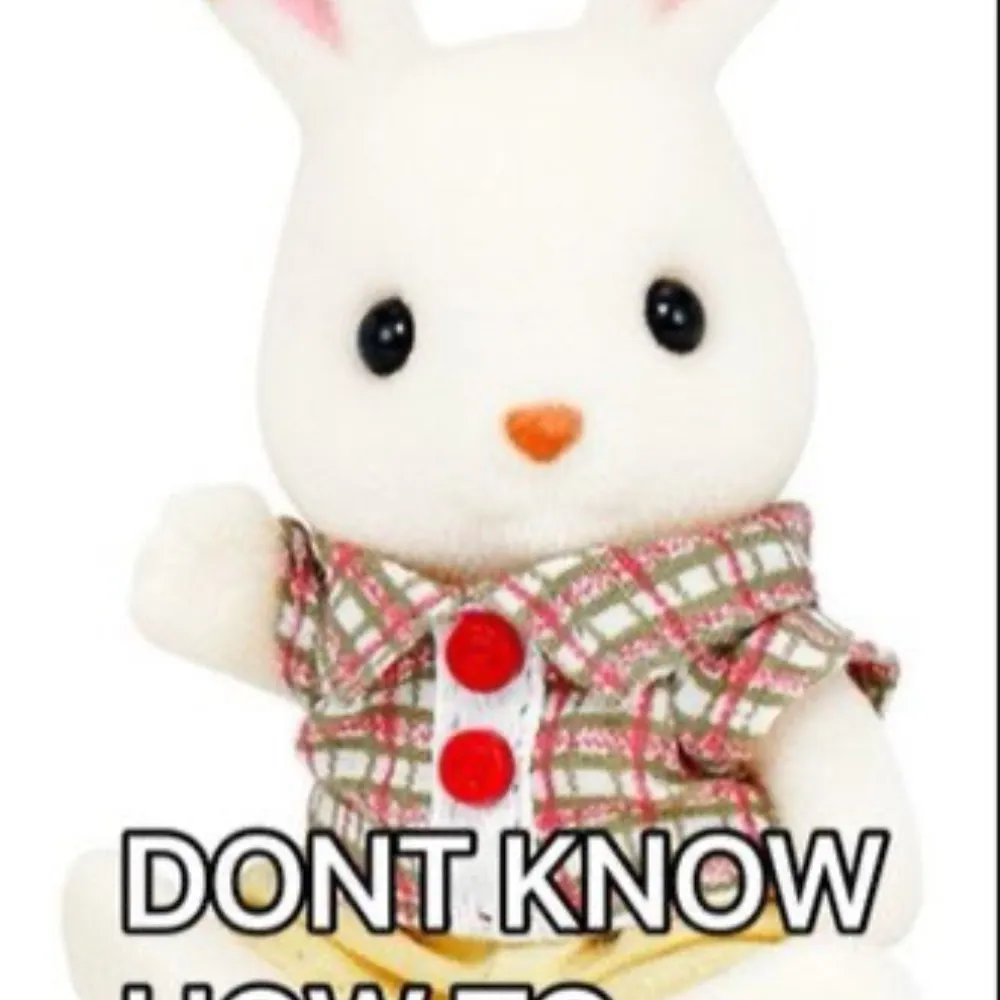 stote.bsky.social's profile picture