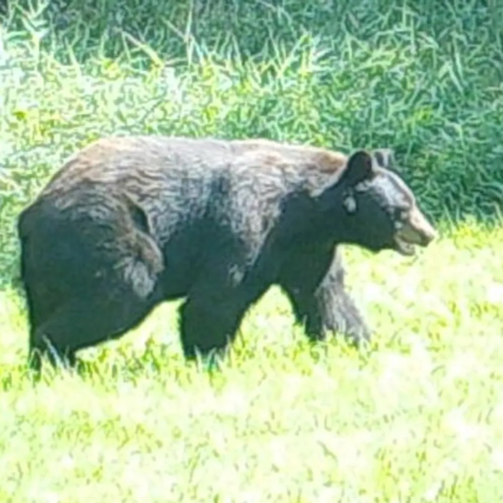 coast1909.bsky.social's profile picture