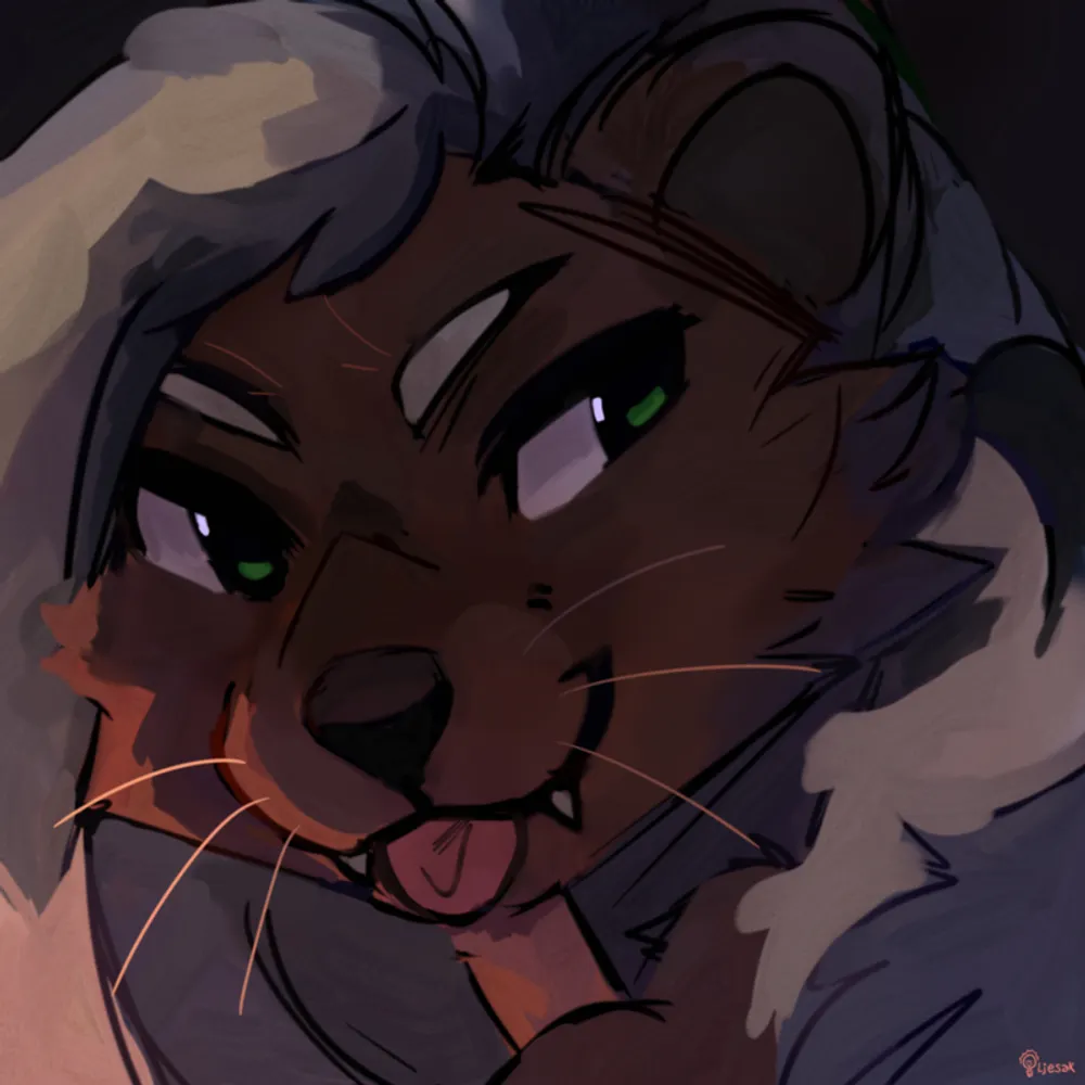 moondogtk.bsky.social's profile picture