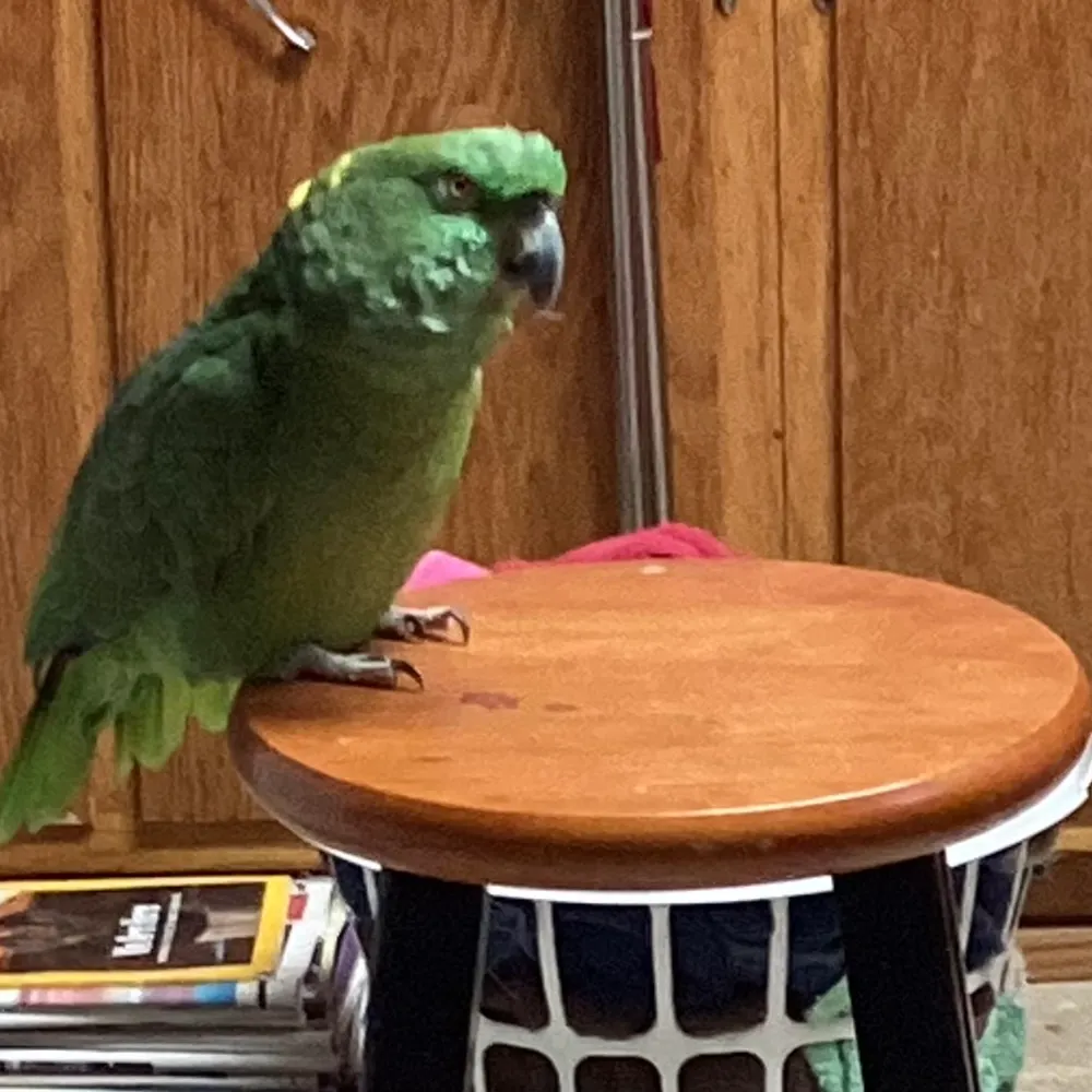 annmartin1947.bsky.social's profile picture