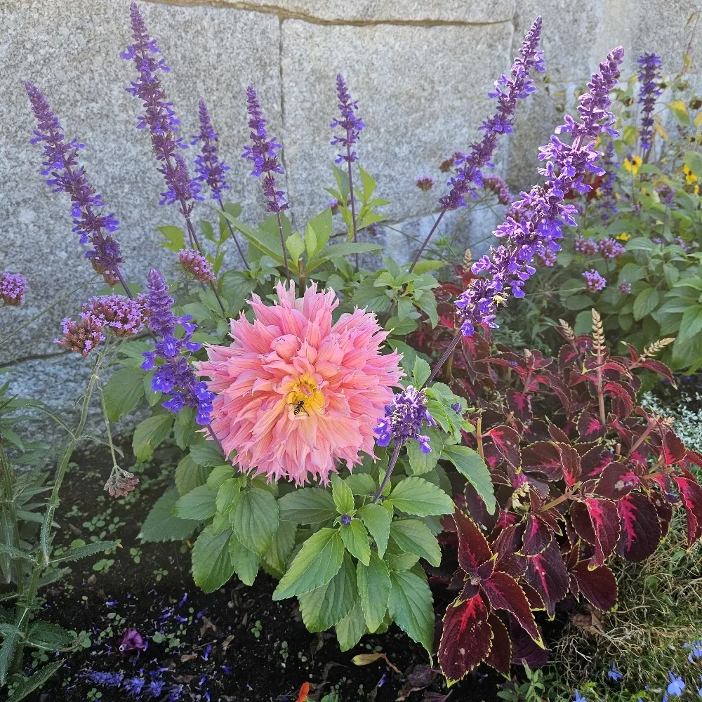 iamashleystearns.bsky.social's profile picture