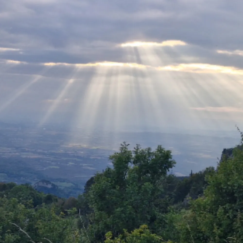 cayin64.bsky.social's profile picture