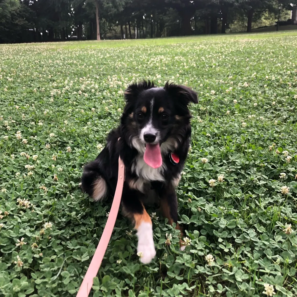 k1970.bsky.social's profile picture