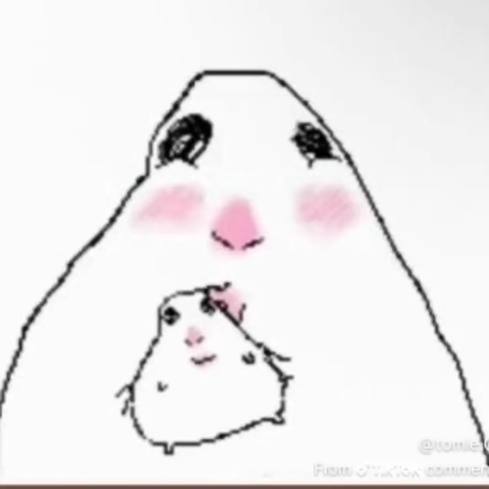 waterstation.bsky.social's profile picture