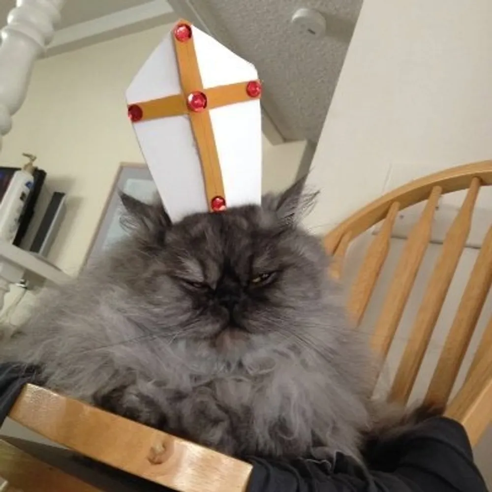 easterntony.bsky.social's profile picture