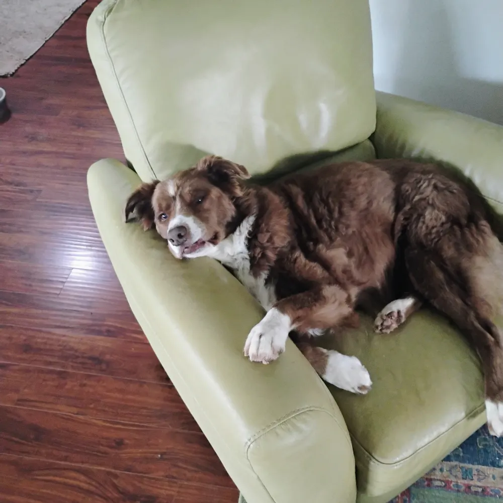 floydadatxjoe.bsky.social's profile picture