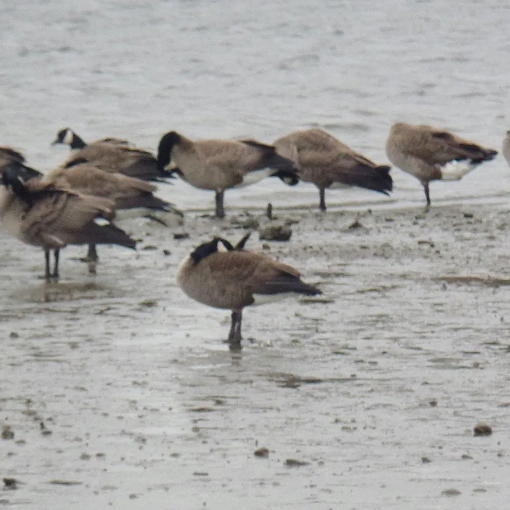 names-joe.bsky.social's profile picture