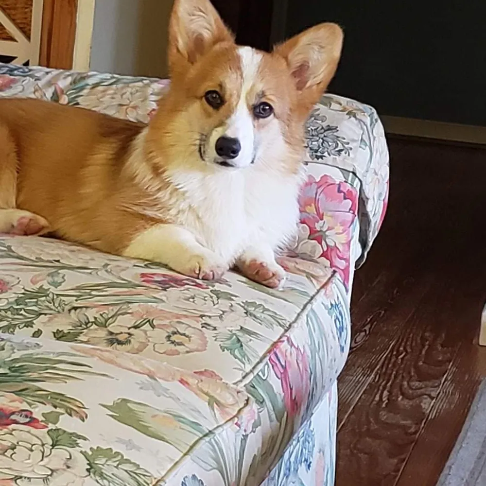 kat-otis.bsky.social's profile picture