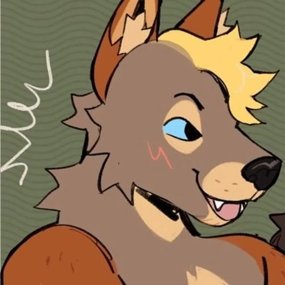 jackalsaan.bsky.social's profile picture