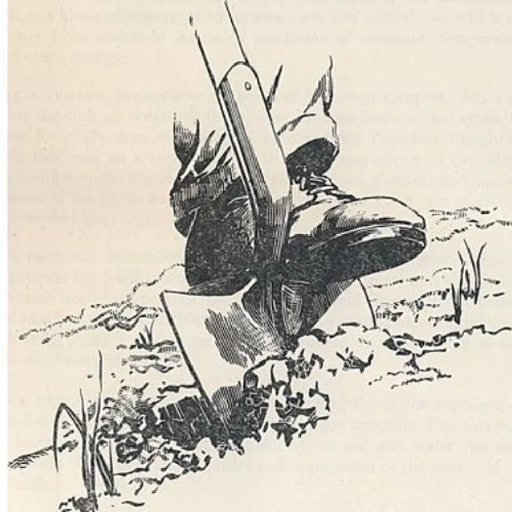 abstrusination.bsky.social's profile picture