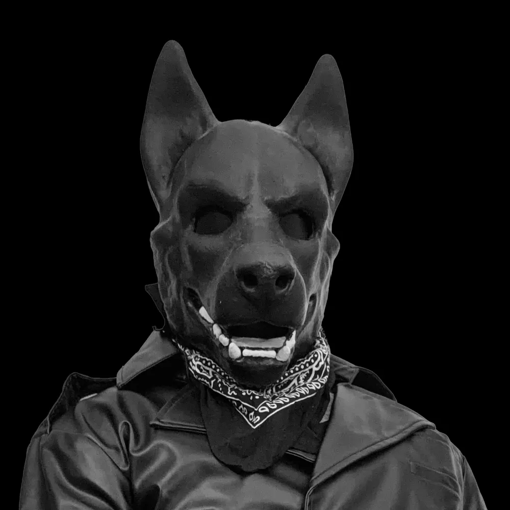 hakirsch.bsky.social's profile picture