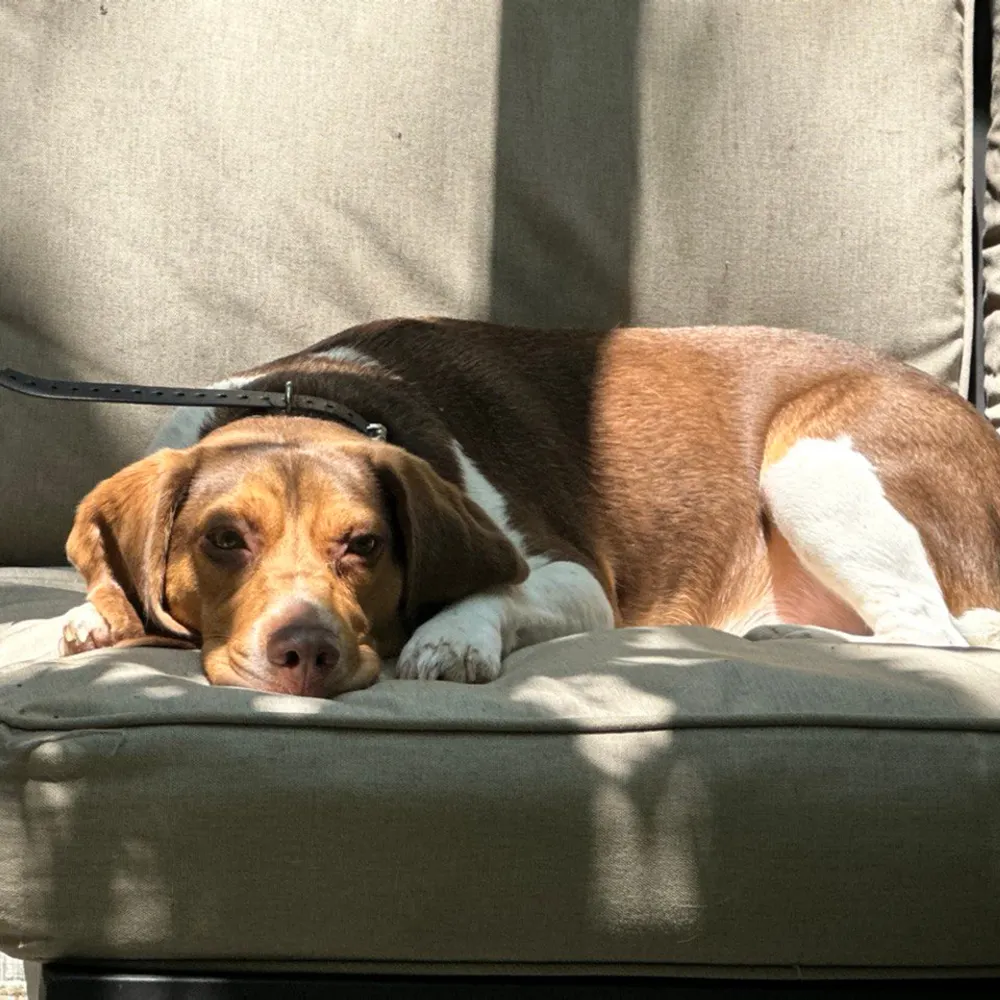 lat428.bsky.social's profile picture