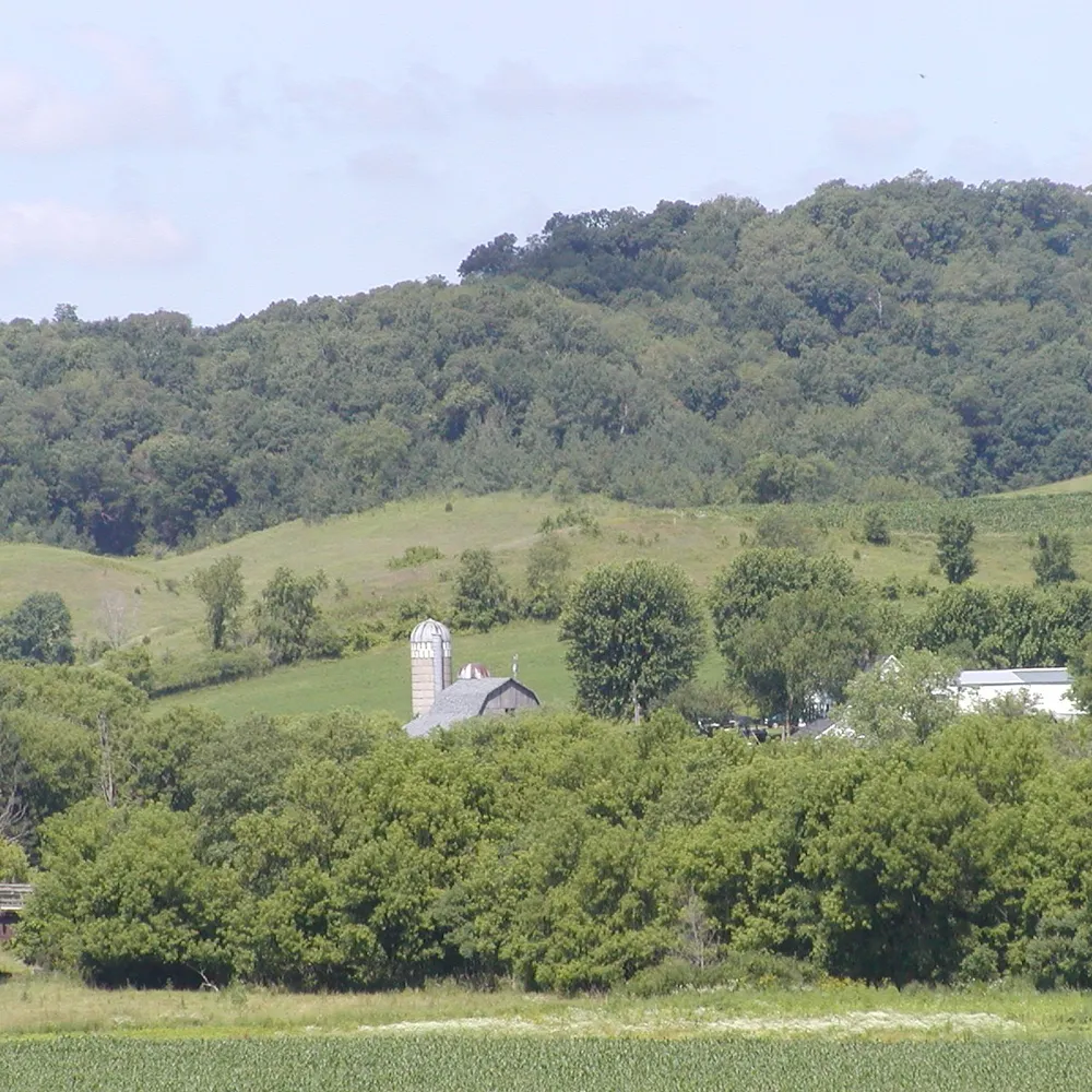 laughingliberal.bsky.social's profile picture