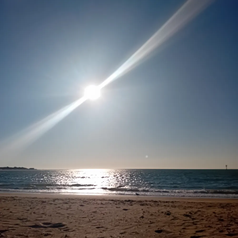 mannetjemaan.bsky.social's profile picture