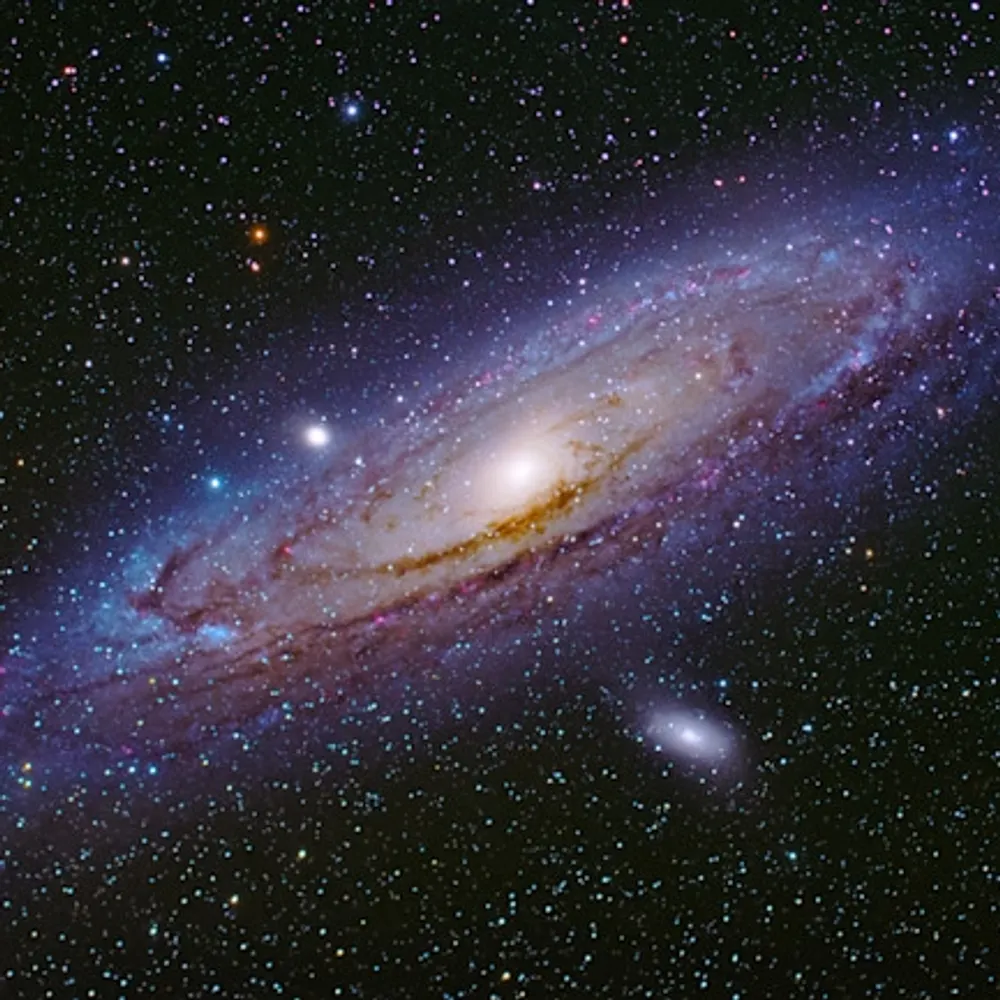 insignificanthuman.bsky.social's profile picture