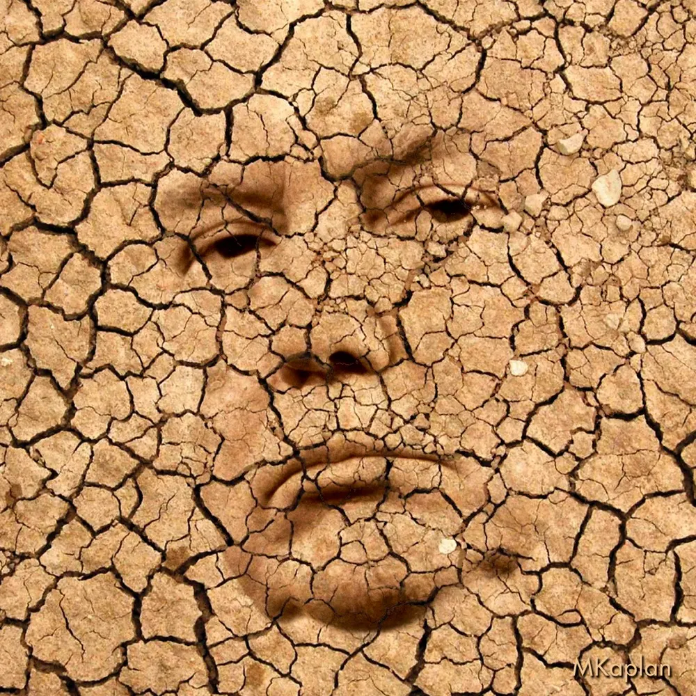 liar-in-chief.bsky.social's profile picture