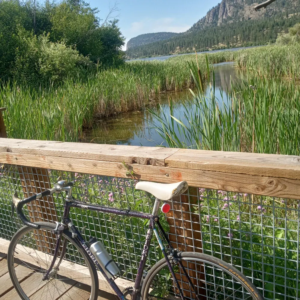 peterlouwe.bsky.social's profile picture