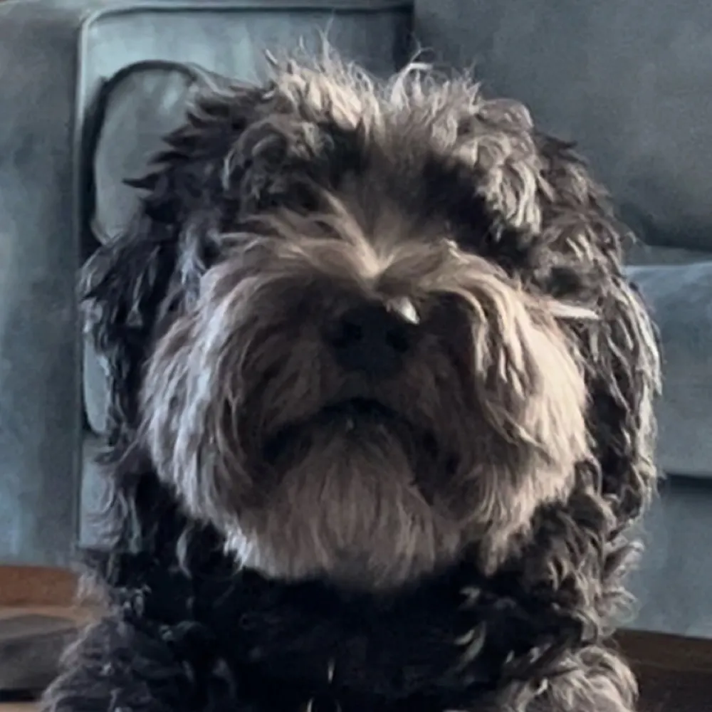 marcalyn.bsky.social's profile picture