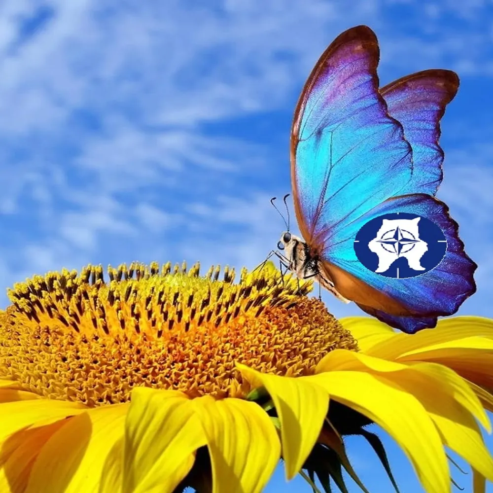 occupyonelove.bsky.social's profile picture