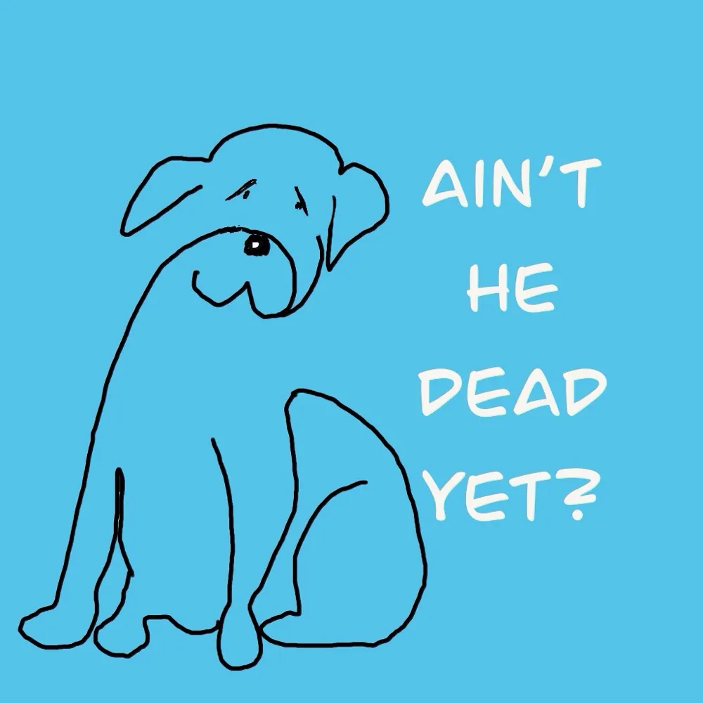 proveit77.bsky.social's profile picture