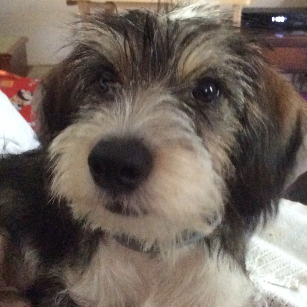 ad108.bsky.social's profile picture