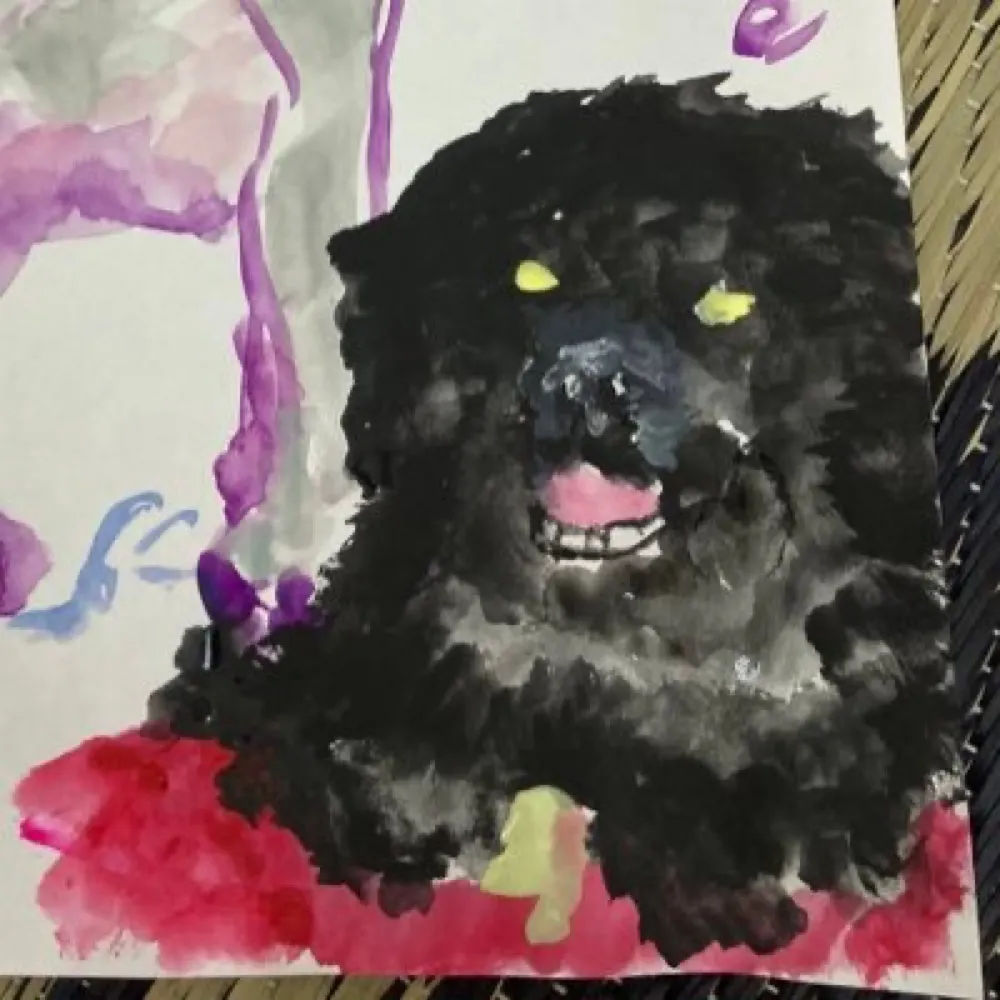 bakoon.bsky.social's profile picture