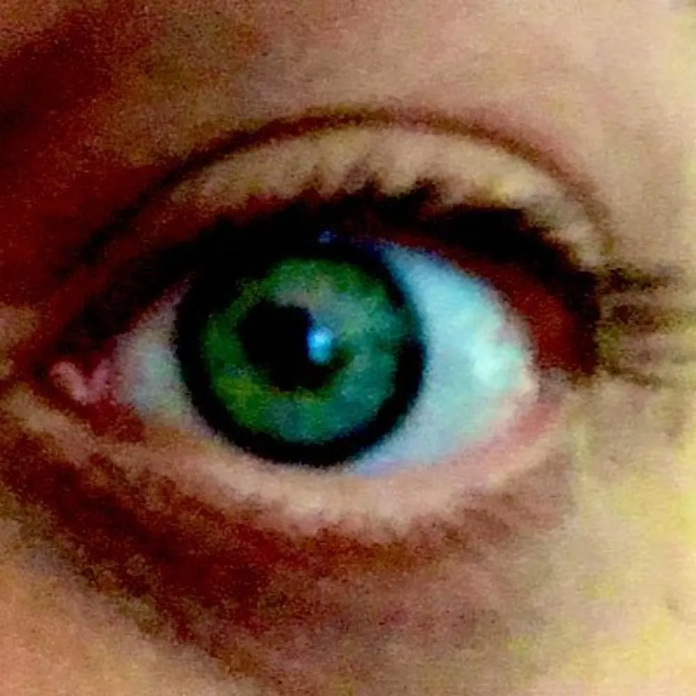 timmytwoshirts.bsky.social's profile picture