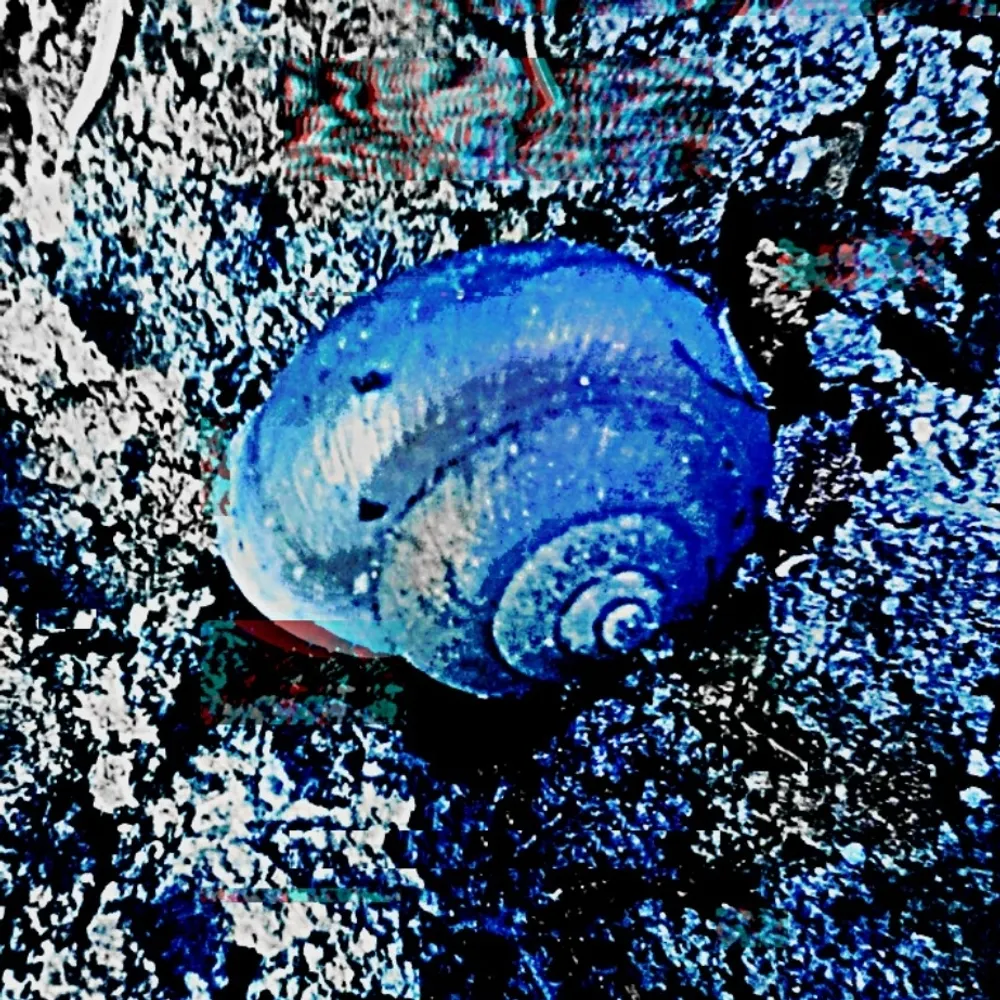 jradd7.bsky.social's profile picture