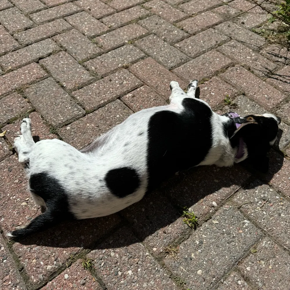 bacoach15.bsky.social's profile picture