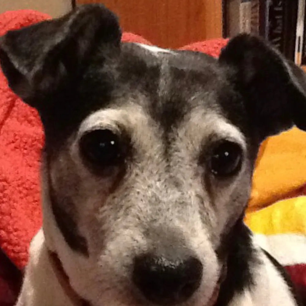 stuckintraffic3.bsky.social's profile picture