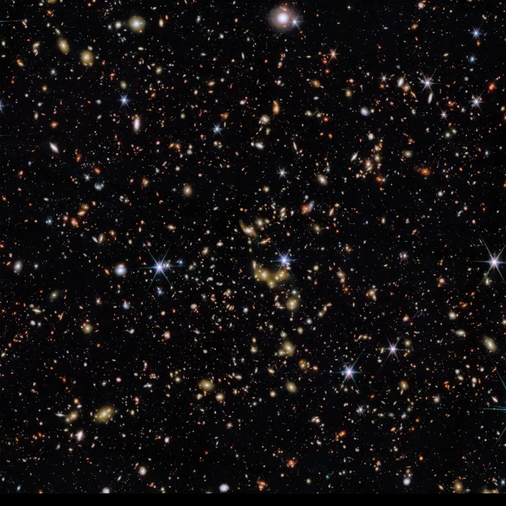 bryan20906.bsky.social's profile picture