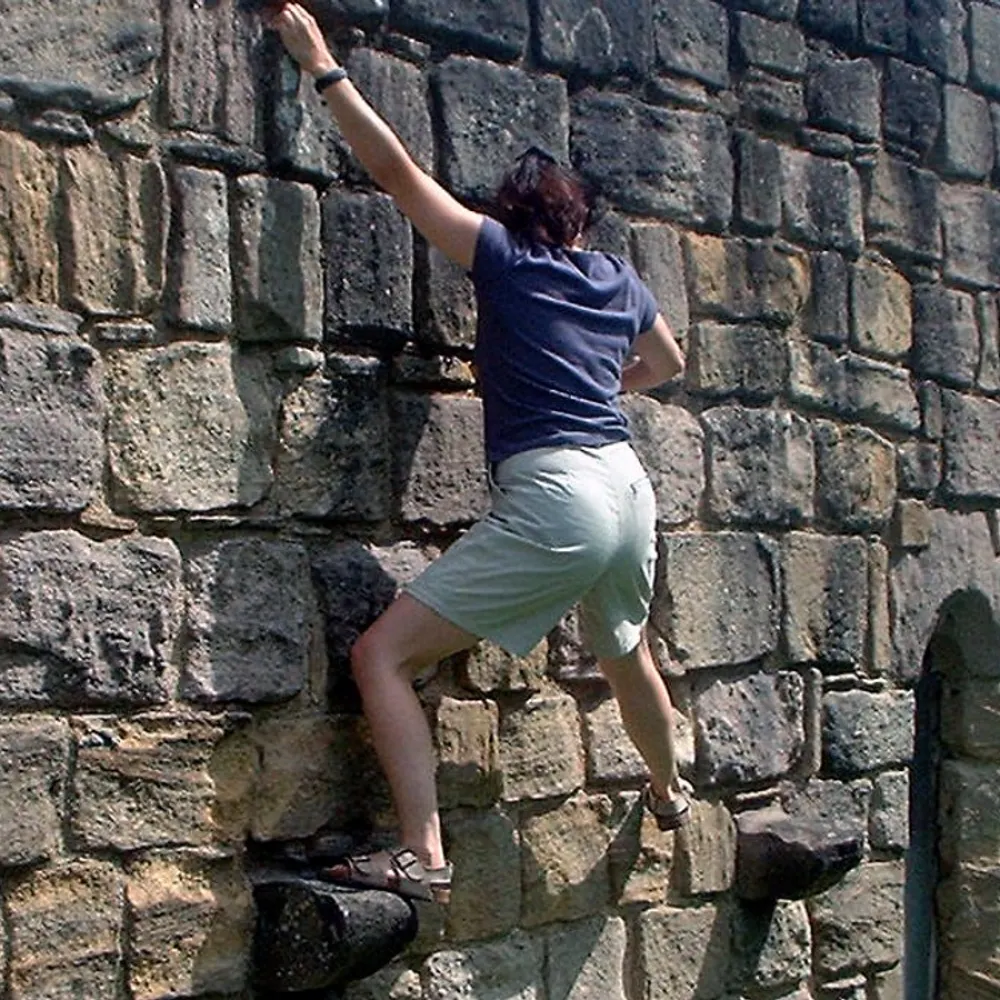 cofax.bsky.social's profile picture