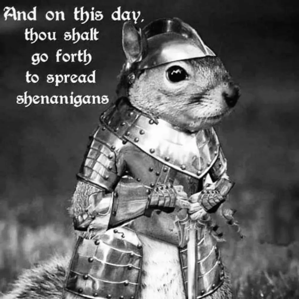 erisri.bsky.social's profile picture