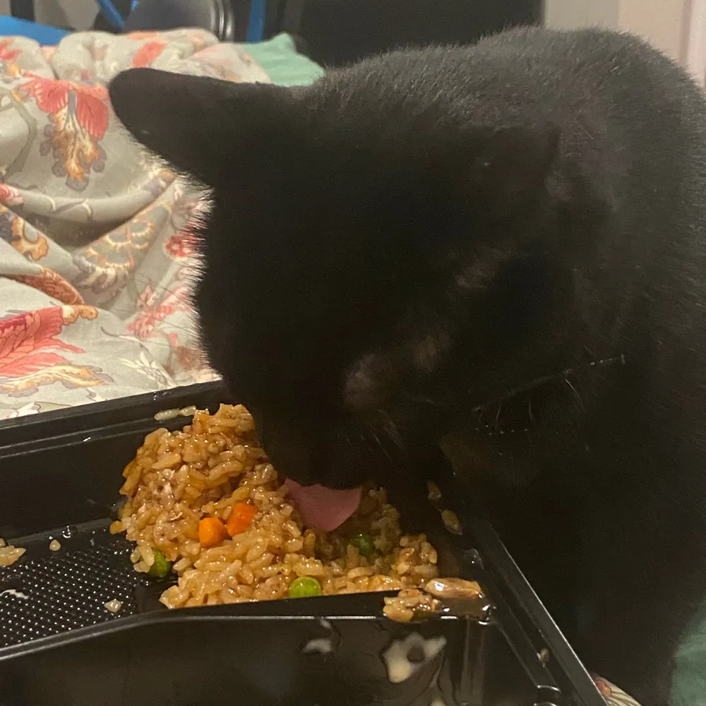 amycaro.bsky.social's profile picture