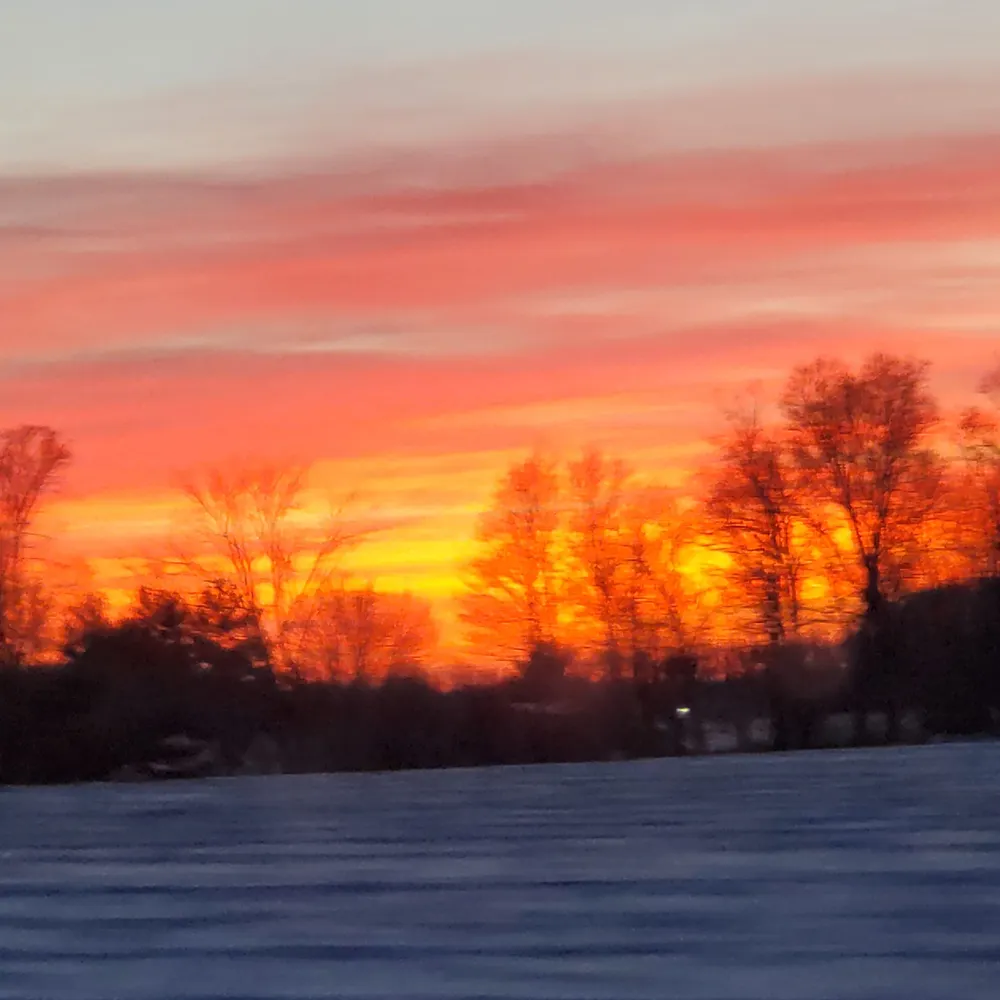 cricketeden.bsky.social's profile picture