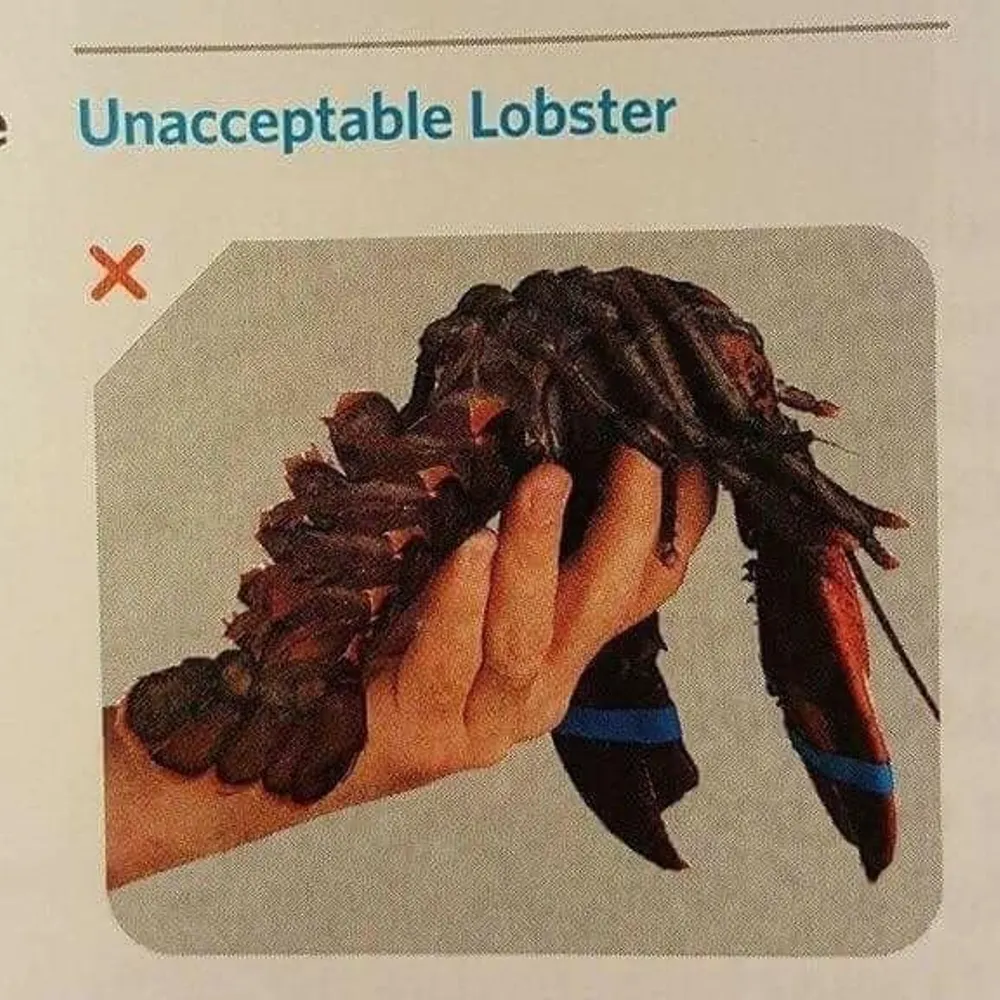 ajsoapmonger.bsky.social's profile picture