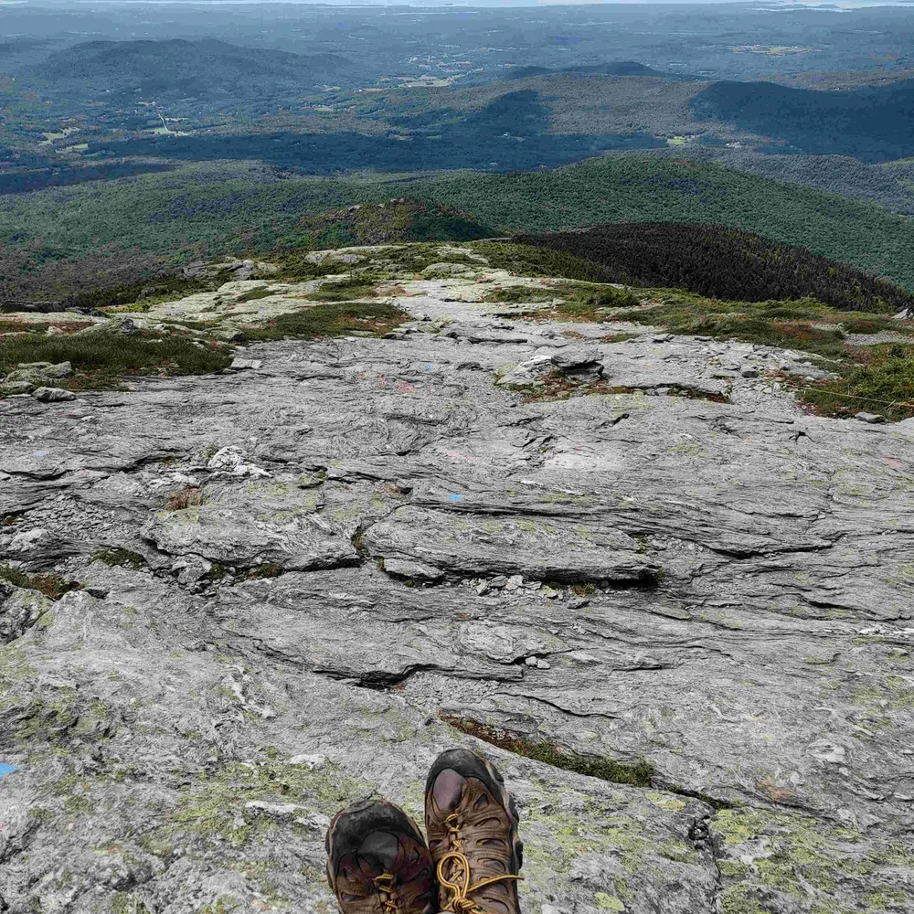 feraljoe.bsky.social's profile picture