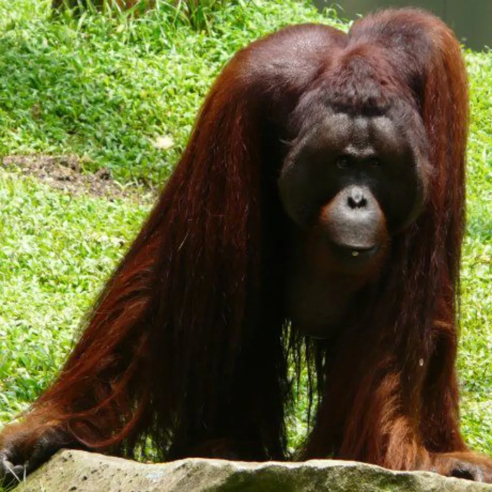 jrm529.bsky.social's profile picture