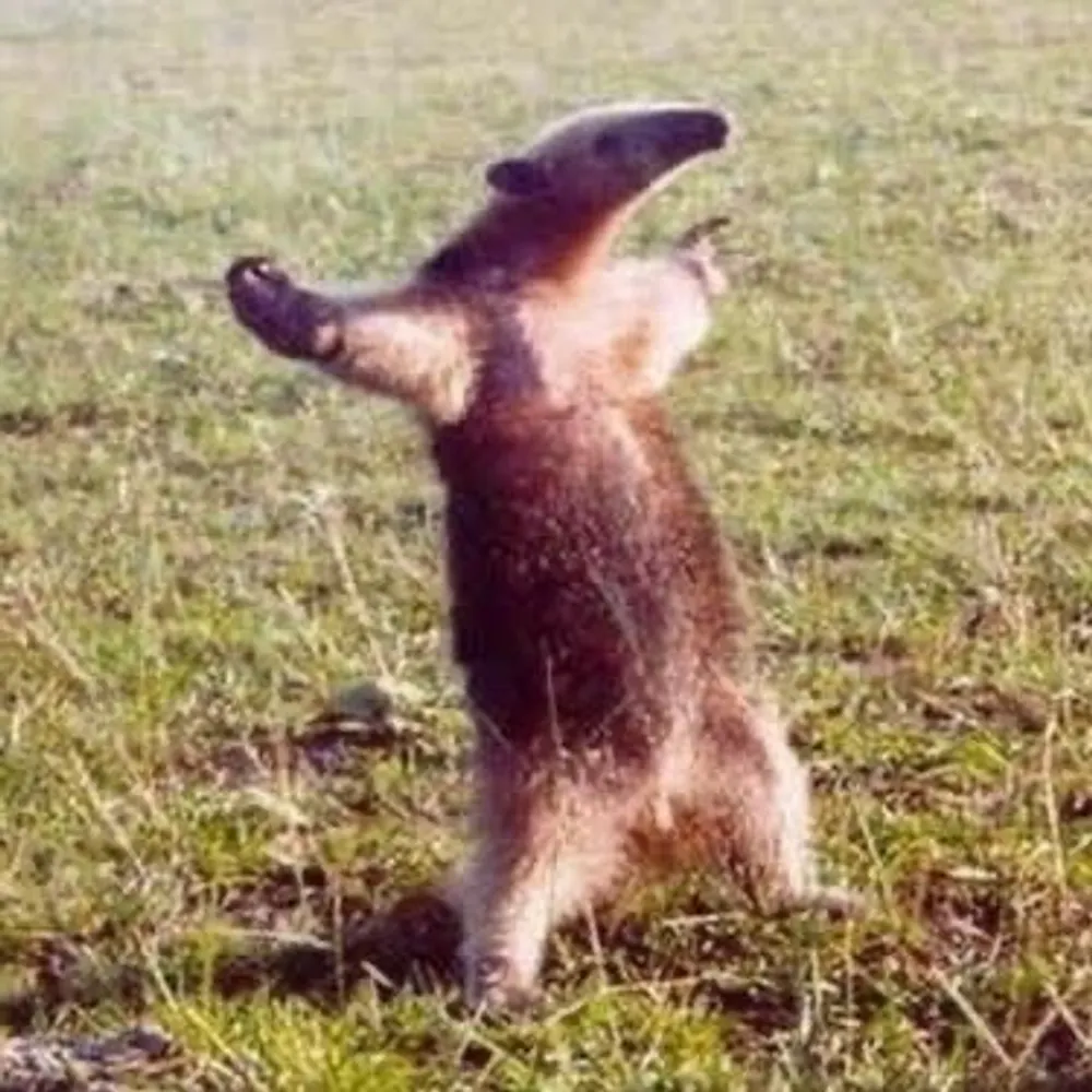 nickhide.bsky.social's profile picture