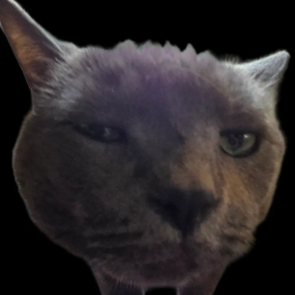 zaboonanoo.bsky.social's profile picture