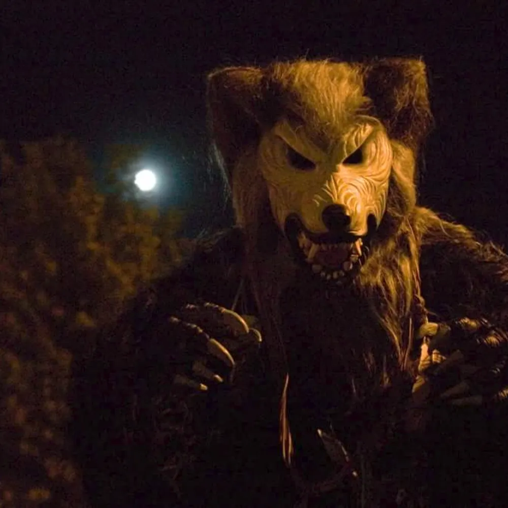 papawoof.bsky.social's profile picture