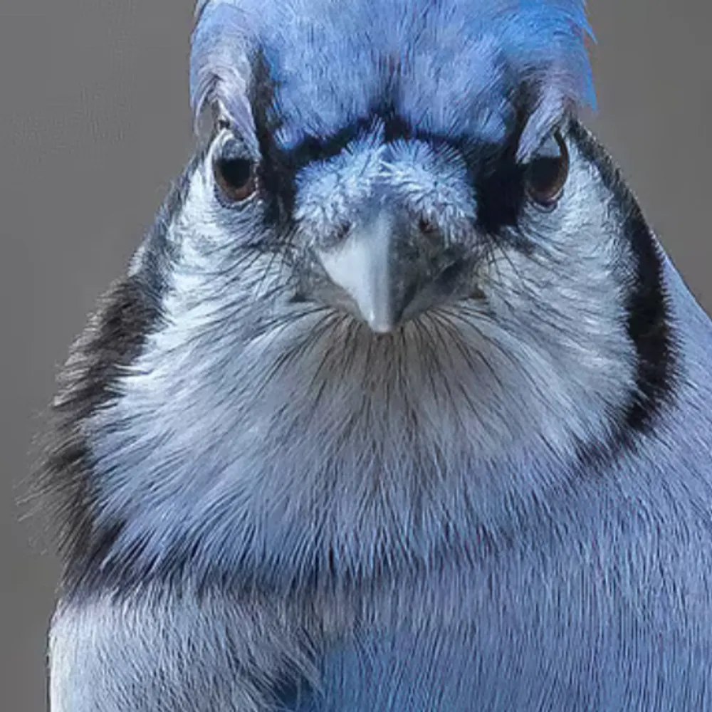 dylmar.bsky.social's profile picture