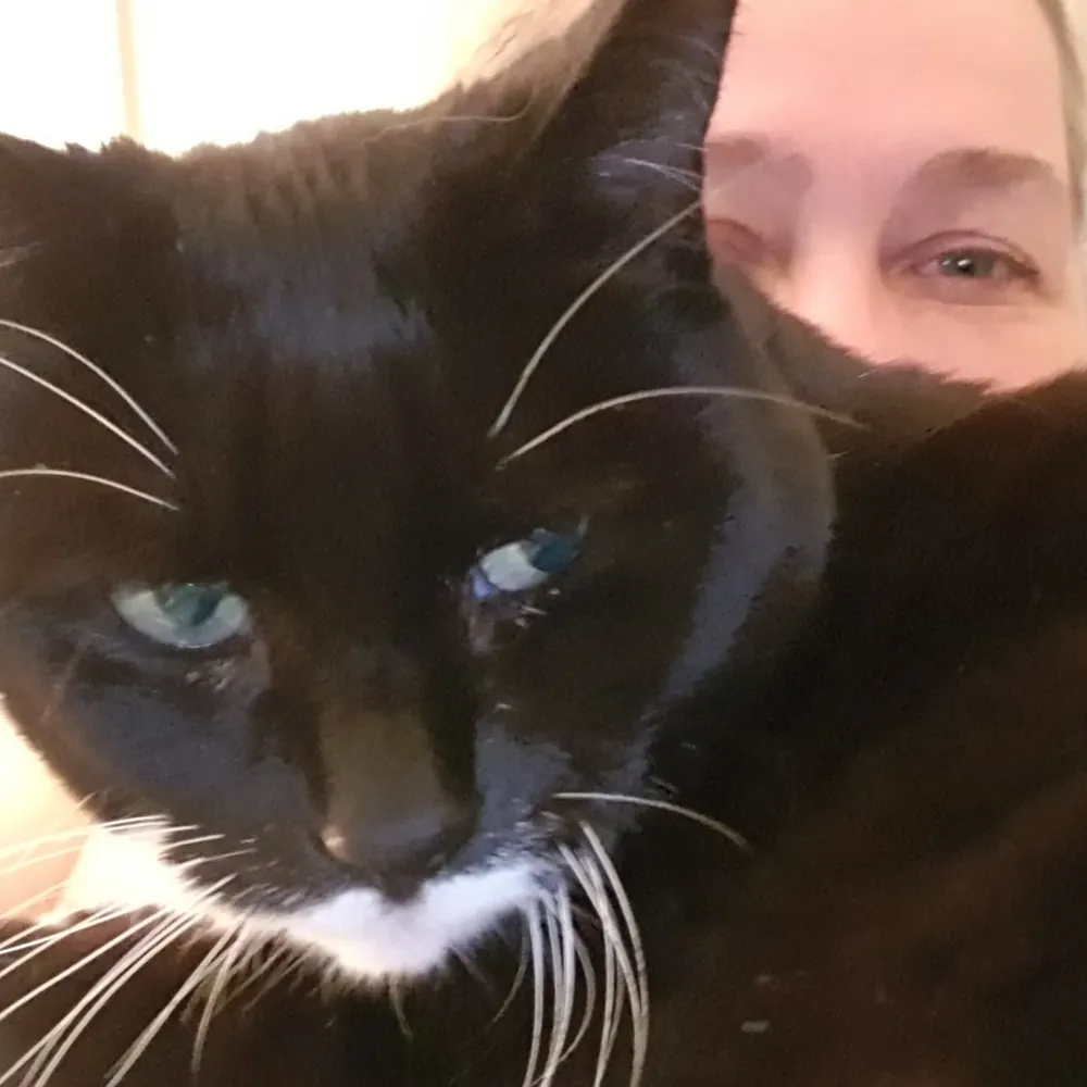 these-boots.bsky.social's profile picture