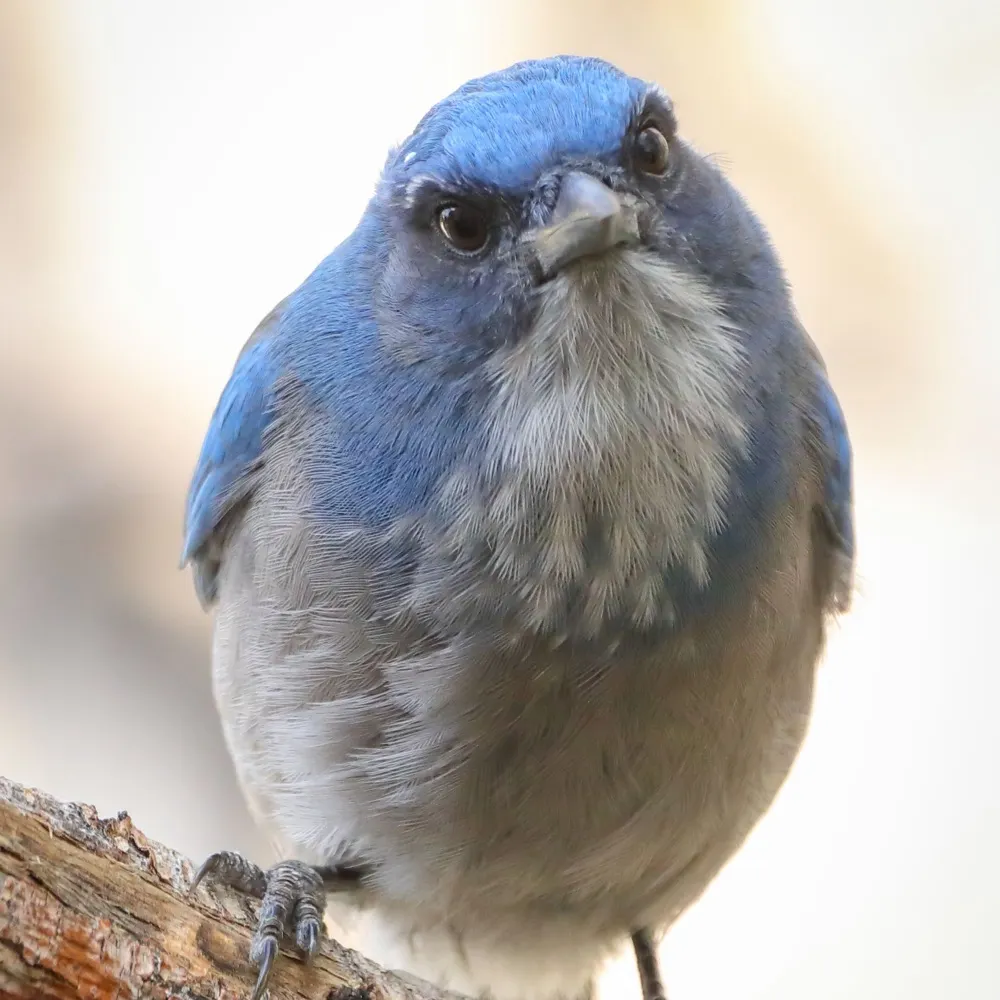 lyndyphotos.bsky.social's profile picture