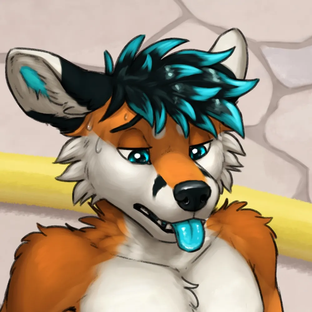 allwheelfaps.bsky.social's profile picture