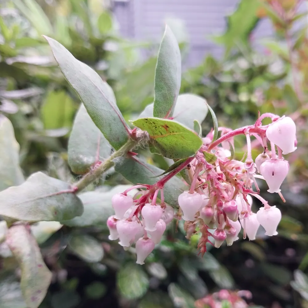 elainerichards.bsky.social's profile picture