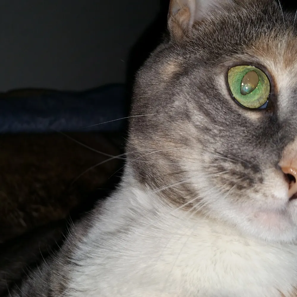 uneasywriter.bsky.social's profile picture